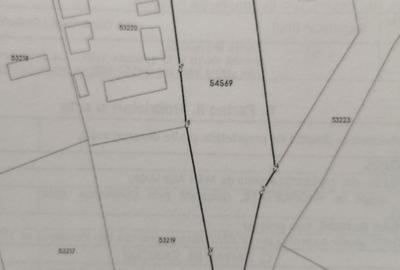 Teren de 1750 mp, în Bogata - 1