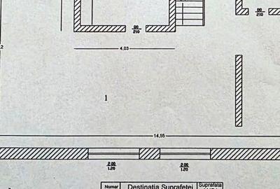 Dristor, Camil Ressu, 15 minute metrou, pe strada Ilioara - 19
