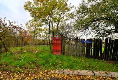 Vanzare teren de COLT 682mp Balta Lilieci Sat Lilieci Sinesti Ialomita - 17