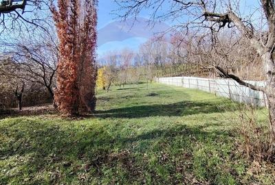 Casă cu 5 camere cu Teren 4000 Mp în Valea Voievozilor - 22