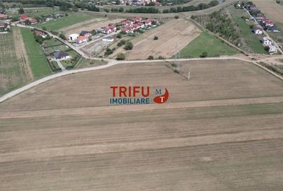 Teren intravilan cu apa si canalizare posibilitate de extindere - 4