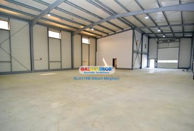 Hala 590 mp Chitila Rudeni- centura - 7