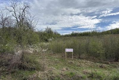 Teren de 904 mp, în Eșelnița - 3