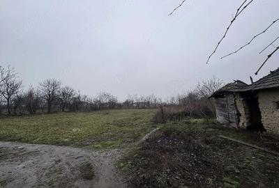 Casă cu Teren 2500 Mp în Central - 6