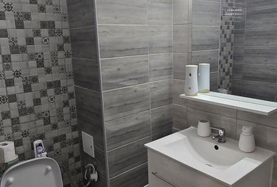 Garsonieră decomandată în Tunari - 5