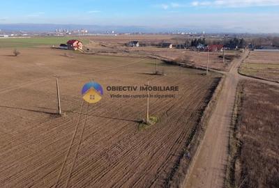 Teren investitie intravilan 3600 mp – Dumbrava Rosie - 4