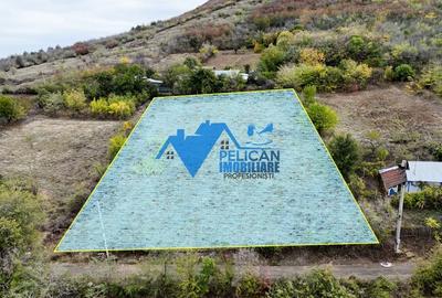 Teren intravilan NICULITEL, zona deosebita, 3044MP - 12