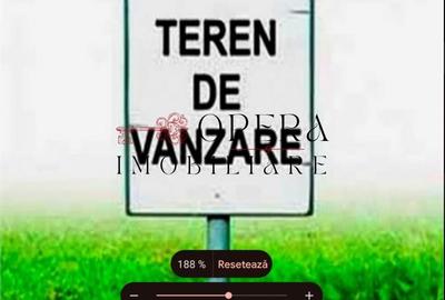 Teren agricol extravilan de 15400 mp, în Războieni - 1