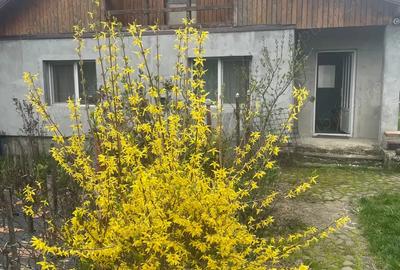 Casa de vanzare in Bargau, Maramure? - 2