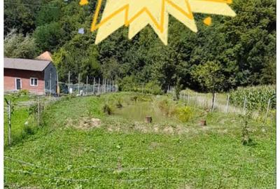 Teren extravilan 572 mp cu BALTA DE PESCUIT in Satul Hartagani din Comuna Baita, Judetul Hunedoara. - 1