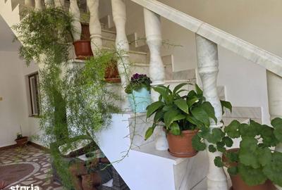 Casă cu 7 camere cu Teren 1230 Mp în Borș - 14