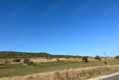 Teren de vanzare 11.400 mp, str. Podgorenilor, Dej - 4