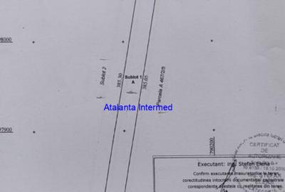 Teren constructie hale - 6