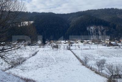 Teren intravilan, 7500 mp, zona Vatra Dornei - 3