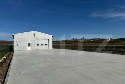 Hala 194 mp utili, platforma betonata 770 mp ?i teren to - 2