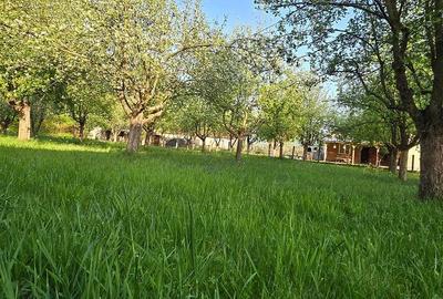 Casă cu 5 camere cu Teren 2763 Mp în Băița - 1