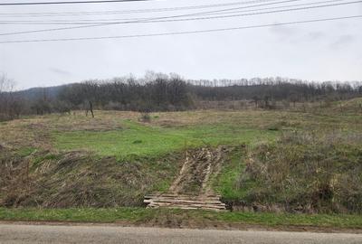 Teren Construcții intravilan de 8054 mp, în Șoimari - 2