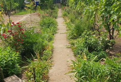 Casă cu 3 camere cu Teren 823 Mp în Central - 2