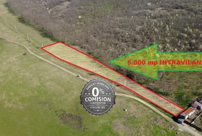 Teren agricol intravilan de 5000 mp, în Central - 2