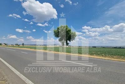 Teren agricol la sosea, pretabil si ptr constructii industriale - 8