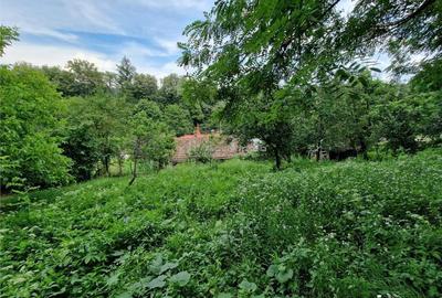 Bocsa, Casa Cocheta de Vacanta cu Teren. - 19