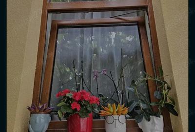 Apartament cu 3 camere semidecomandat în Ultracentral - 4