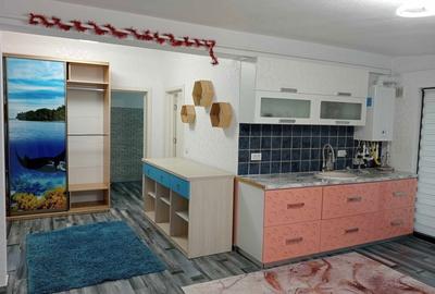 Apartament cu 2 camere decomandat în Șcheia - 4