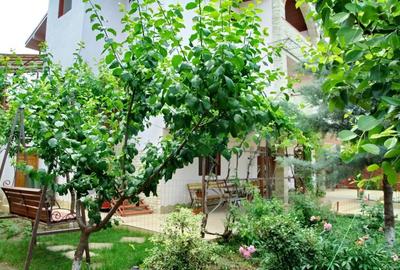 Casă individuală cu 10 camere cu Canalizare în Central - 3