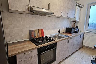 Apartament cu 2 camere nedecomandat în Valea Lupului - 4
