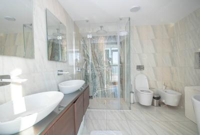 Penthouse de vanzare 5 camere zona Tineretului, Bucuresti 570 mp - 7