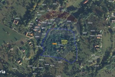 Teren de 24253 mp, în Bran - 14