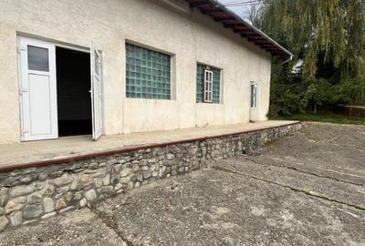 Spațiu comercial, de 1,388 mp, în Ciocănești - 8