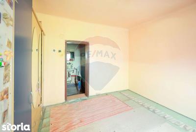 Casă cu 4 camere cu Teren 1425 Mp în Podgoria - 2