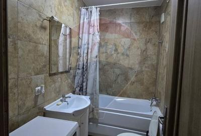 Apartament cu 2 camere de inchiriat Vivalia  zona Aurel Vlaicu - 21
