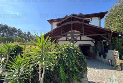 Spațiu comercial, în Brănești - 4