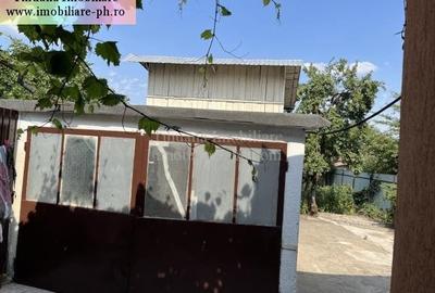 Tihuana Imobiliare:casa de vanzare-Buna Vestire - 5