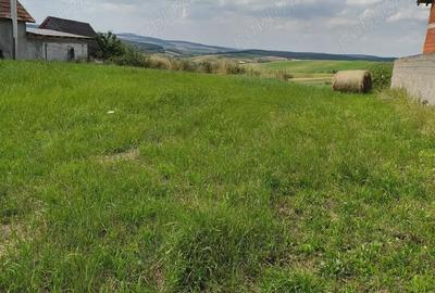 Teren în Tășad - 4