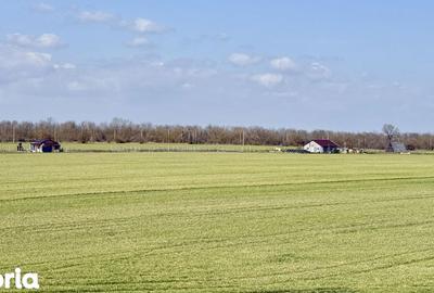 Teren de 444 mp, în Central - 8