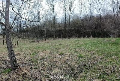 Casă cu 3 camere cu Teren 3600 Mp în Central - 4