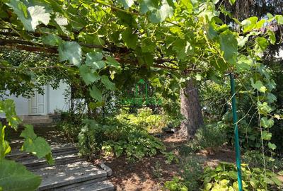 Casă individuală cu 4 camere cu Teren 341 Mp în Ultracentral - 2