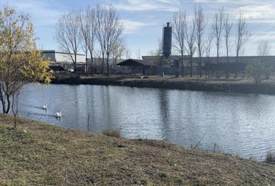 Teren intravilan 500mp, Pielesti - 1