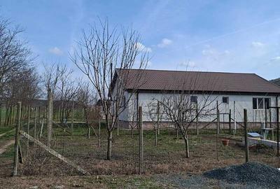 Spațiu comercial, în Peștera - 10