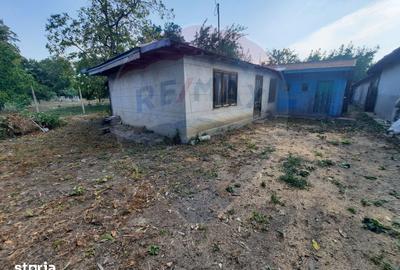 Casă cu 3 camere cu Teren 768 Mp în Garoafa - 1