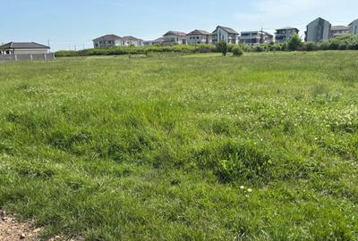 Teren Construcții intravilan de 1239 mp, în Aradul Nou - 4