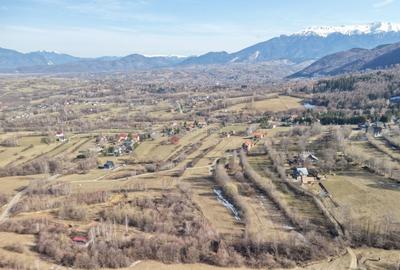 Teren Construcții intravilan de 4043 mp, în Predeluț - 26