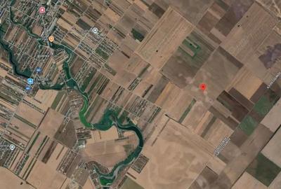 Teren Extravilan In Rate Primaverii Com. Berceni | 9127mp | #EG1E - 3