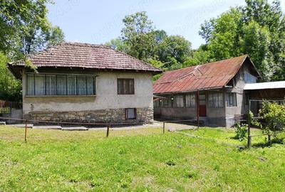 Casa si teren la Provita de Jos - 4