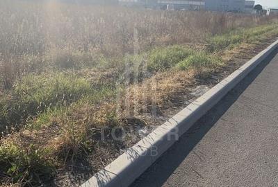 TEREN INTRAVILAN - ZONA INDUSTRIALA VEST-9000 mp, sau 18000 mp - 7