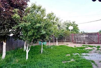 Casă cu 4 camere cu Teren 720 Mp în Cruceni - 16