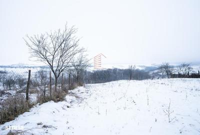 Casă cu 3 camere decomandat cu Teren 3400 Mp în Drăgești - 1